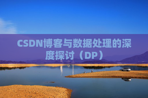 CSDN博客与数据处理的深度探讨（DP）